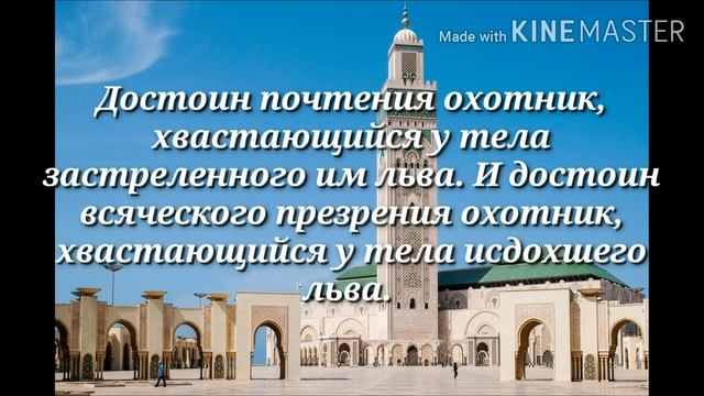 Восточная мудрость. смотреть онлайн