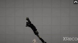 скромник против бактерии (из закулисье )кто выиграет?