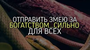 ОТПРАВИТЬ ЗМЕЮ ЗА БОГАТСТВОМ....СИЛЬНО..ДЛЯ ВСЕХ...