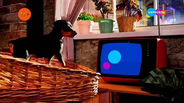 Прогноз Погодыи анонсы программ  Рекламный ролик Канал КарусельВыпуск от 22.08.22