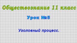 Обществознание 11 класс (Урок№5 - Уголовный процесс.)