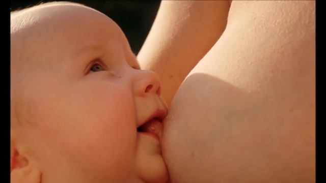 Мечта.wmv смотреть онлайн