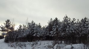 Встречаем 2025 год  в уединении на даче. 31 декабря.