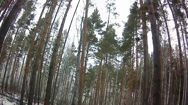 Охота на куницу с РЕЛ смотреть онлайн