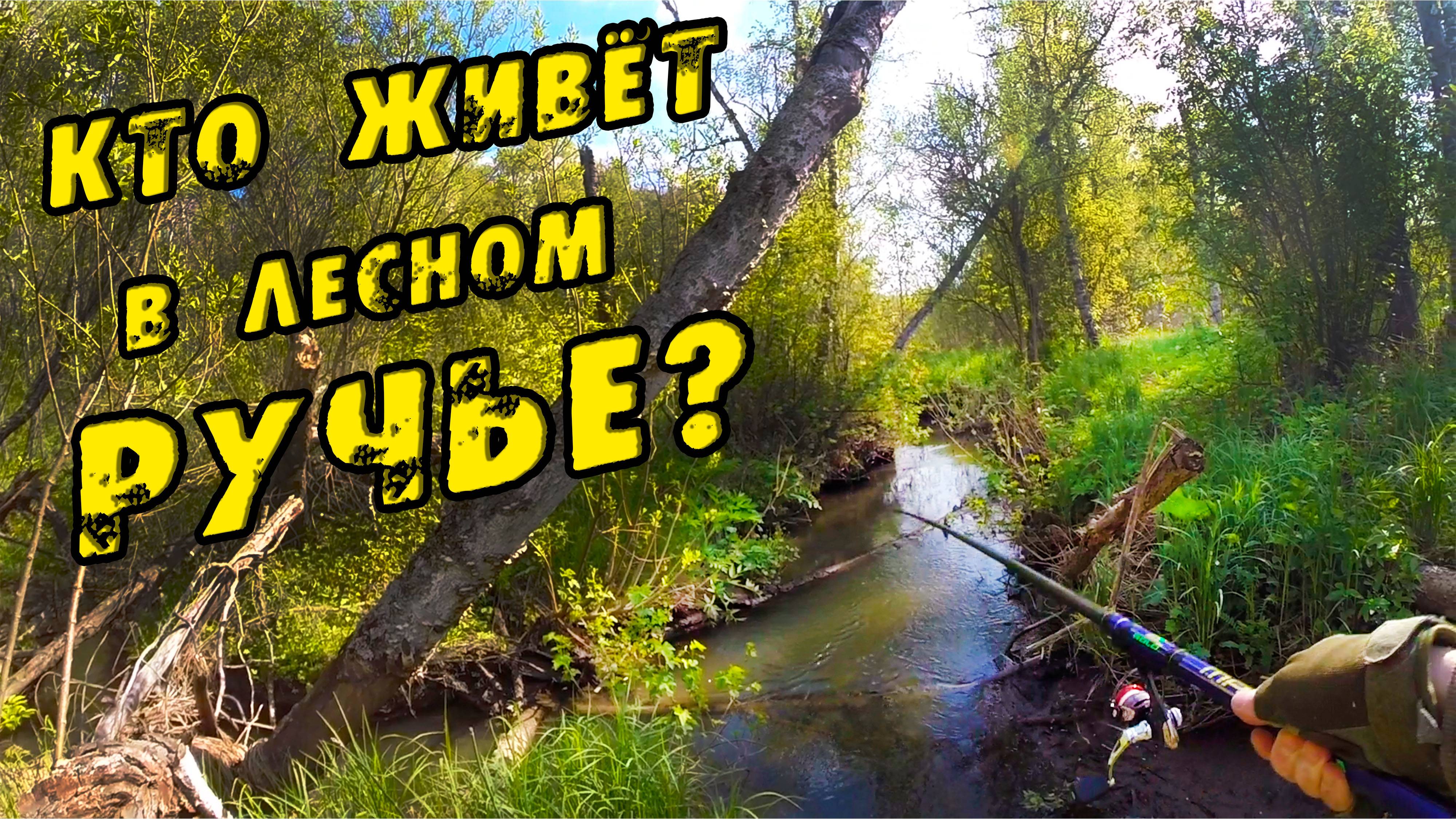 РУЧЕЙ Перешагнуть можно А РЫБА ЕСТЬ! ХАРИУС на Висячку! Рыбалка на Хариуса. Ловля ХАРИУСА в Июне! смотреть онлайн