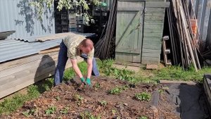 Жизнь в городе и в деревне | Конец сезона | Едем на заимку
