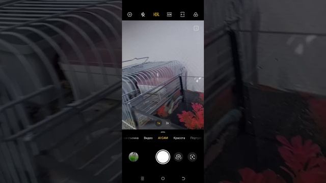 рыбу подарили петушка теперь самы любимы пэт смотреть онлайн