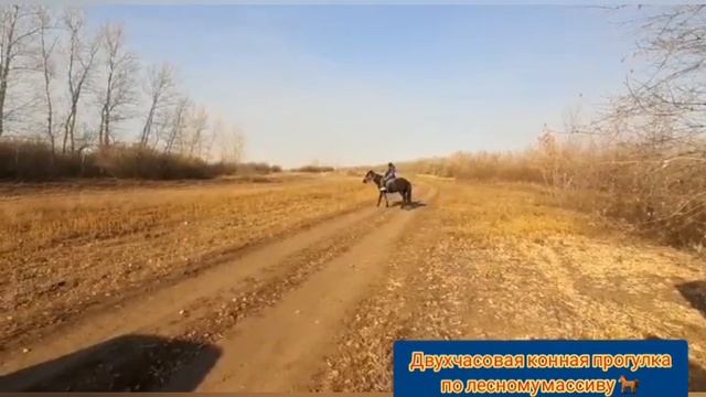 #конныепрогулки
