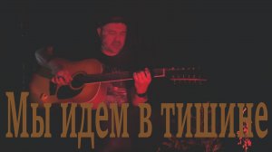 Мы идём в тишине (Кавер на песню группы «Гражданская оборона»).