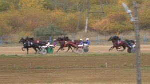 Рысаки 4 х лет и старше 1600м. Емельяновский ипподром 2021 сельские