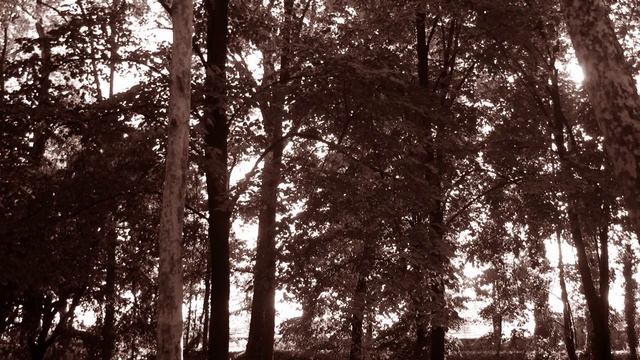 Raventale - These Days Of Sorrow смотреть онлайн