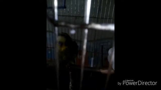 Новости!(чит.описание) смотреть онлайн