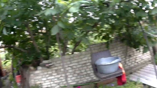 ЖИВЕМ В ДЕРЕВНЕ!!СПАСАЕМ УРОЖАЙ ЧЕСНОКА!ДОЖДИ!!!КОПАЕМ ПРАКТИЧЕСКИ ИЗ ГРЯЗИ!Деревенский влог