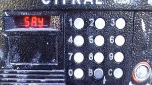 пока течёт мой любимый кетчуп