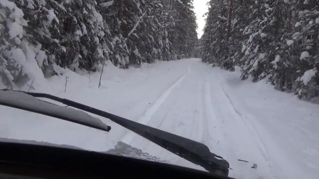 ✅🔥Видео с Ютуб. Живу в охотничьей избе. Брат охотится на Лося ,я занимаюсь фигнёй. Охота на Лося.