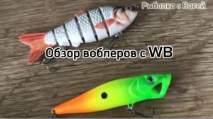Обзор воблеров с WB