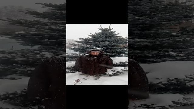 С Новым годом!