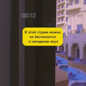 В КАКОЙ СТРАНЕ АКУЛЫ НЕ НАПАДАЮТ?