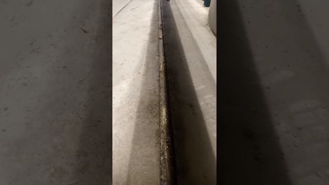 27 февраля 2024 г. смотреть онлайн