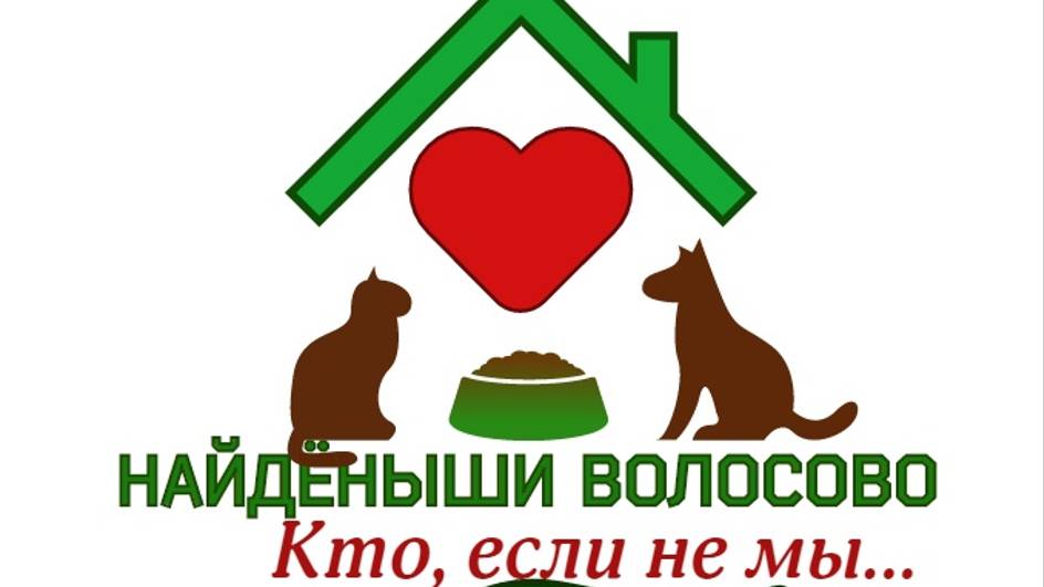 НАЙДЁНЫШИ ВОЛОСОВО. 2024 год.
