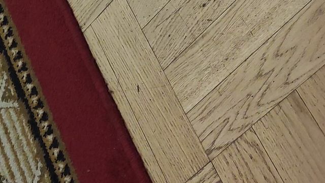 Чайковский фрагменты музыки из балета Щелкунчик 3 третий смотреть онлайн