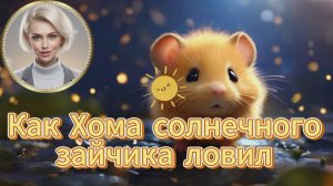 Как Хома солнечного зайчика ловил. 41-я СЕРИЯ.