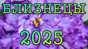 БЛИЗНЕЦЫ таро прогноз на какждый месяц 2025 года.