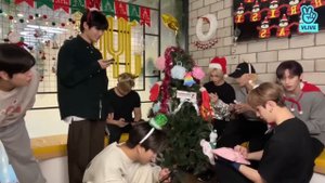 Предновогодняя трансляция от TREERACHA (23 декабря 2024 года)