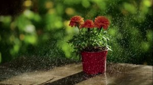 СЕВАСТОПОЛЬСКИЙ  ВАЛЬС  (кавер  K.CHERKASOV )