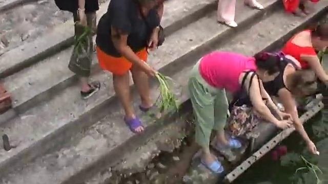 Устричная ферма. Паттайя. Таиланд