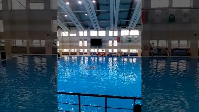 Плавание