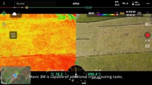 Первое использование DJI Mavic 3 Multispectral