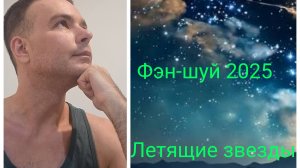 Фэн-шуй прогноз 2025: летящие звезды