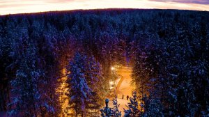 Экскурсия для студентов, как выжить в Лесу