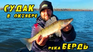 В ЭТОЙ Реке сложно НЕ ПОЙМАТЬ СУДАКА! Рыбалка на Судака осенью. Ловля Судака на джиг с лодки. Бердь