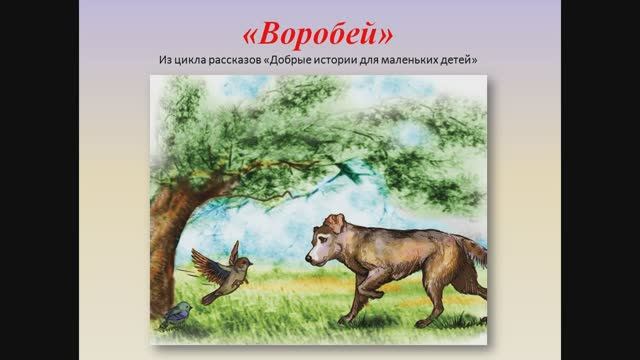 Воробей / Будьте храбрыми,когда дело касается спасения жизни другого!
