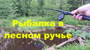 РЫБАЛКА ЛЕТОМ НА ЛЕСНОМ РУЧЬЕ.