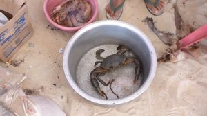 Ром,крабы и Индийский океан!Отель Nanu Resort 3*Южное Гоа.Индия