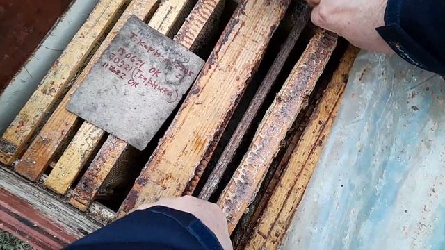 + 3 И ВЕНТИЛЯЦИЯ В ЛЕЖАКАХ. смотреть онлайн