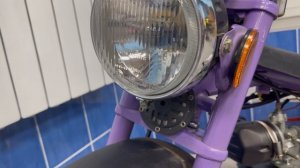 Бабетта Стелла 134.000
Babetta Stella