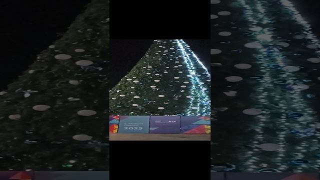 Ялта в Новогоднюю ночь