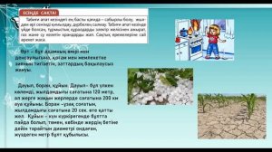3 сынып Дүниетану  2- сабақ