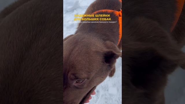 МЫ ВСЕГДА ГОТОВЫ ПОМОЧЬ😉