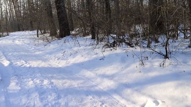 VIVO V29 Честный обзор смотреть онлайн