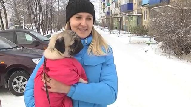 КунгурТВ 28 12 2017 В гостях у символа наступающего года