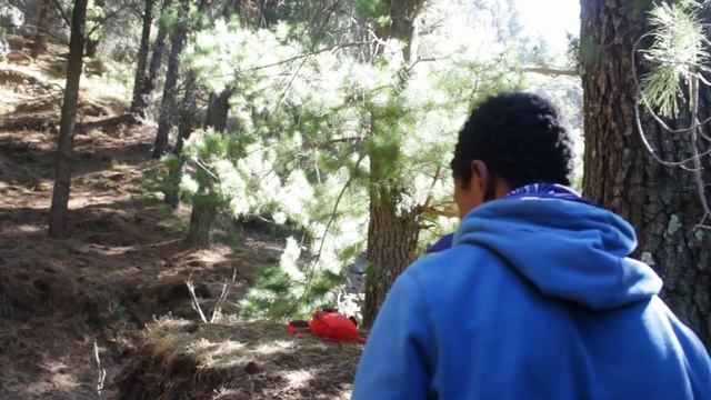 Building a HUGE MTB Jump with a TREE in the way!?