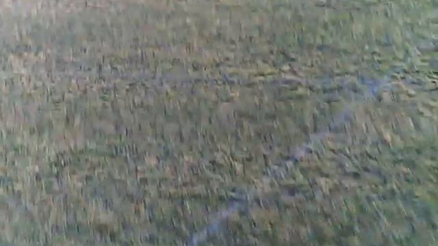 Air Hogs Titan glider rc conversion with onboard camera (trunigy keychain camera)