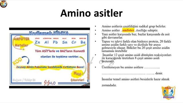 proteinler konu anlatımı | TYT AYT YKS ÖSYM | Kralbiyolog