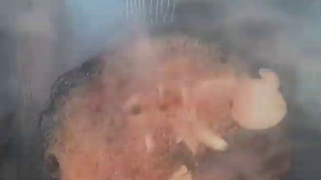 готовим Плов смотреть онлайн