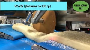 Производство бриошь с помощью тестоделителя Twin Divider VX-222 и обминочного округлителя Rheon